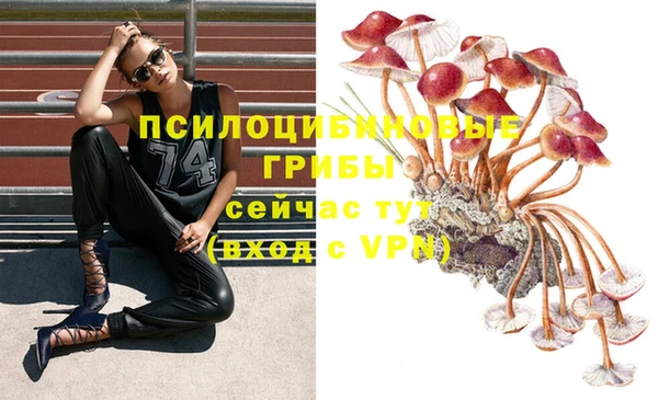 спайс Пестово